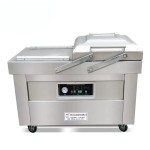 DZ-600/2SB double chamber vacuum packaging machine